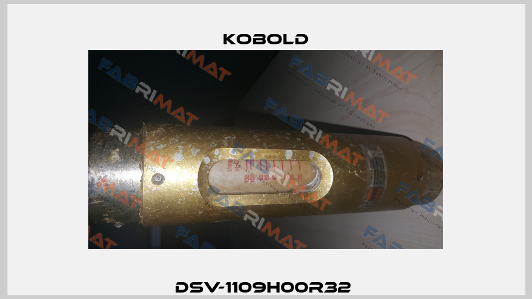 DSV-1109H00R32  Kobold