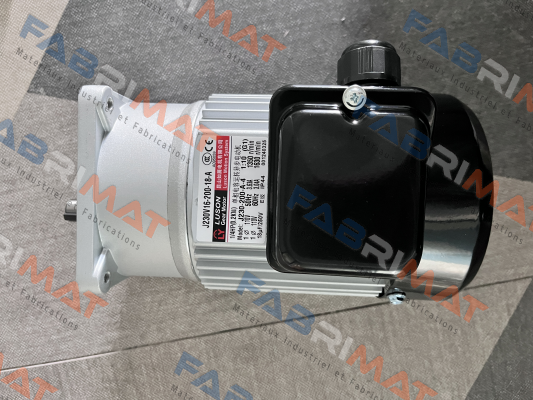 J230V16-200-18-A(G1) Luyang Gear Motor