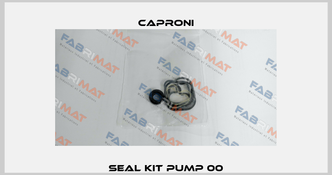 Seal kit pump 00 Caproni