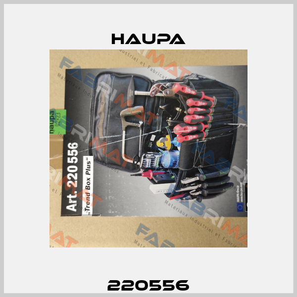 220556 Haupa