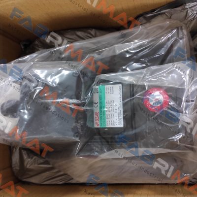 G12V200S-100 Sesame Motor