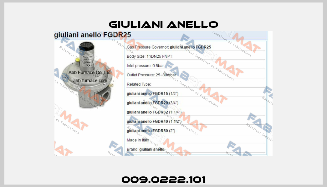 009.0222.101 Giuliani Anello