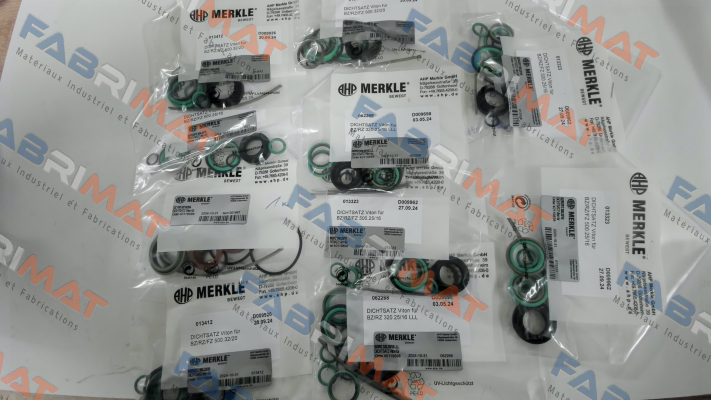 REPAIR KIT FOR BZ 500.25/16.03.201.080.NR33.V Merkle