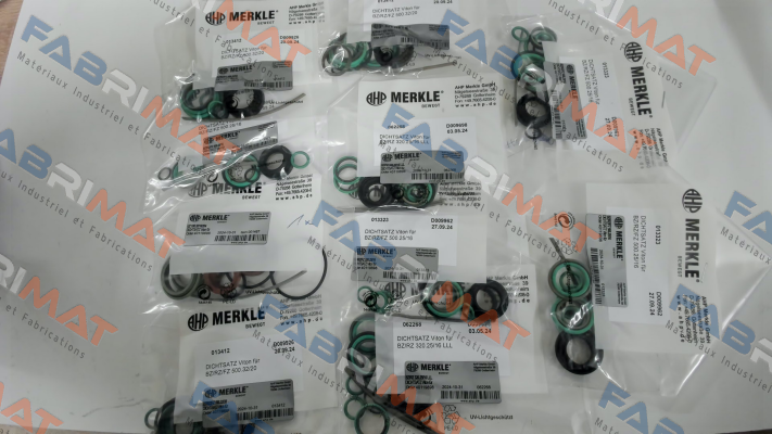 REPAIR KIT FOR BZ 500.25/16.03.201.060.NR33.V Merkle