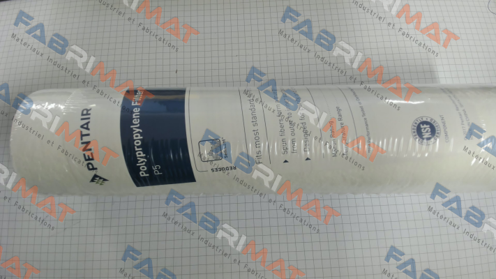 PS5-10 Pentek (Pentair)