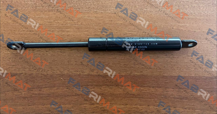 1165AE 0300N 264/04 E 09 Stabilus