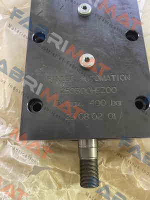 250300-BAZ00 Binder