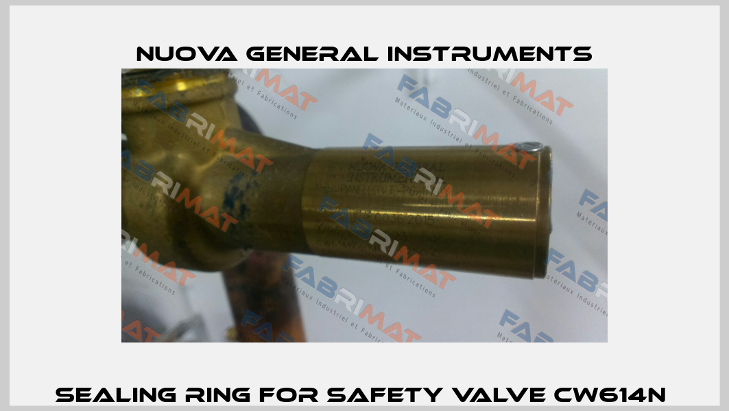 sealing ring for safety valve cw614n  Nuova General Instruments