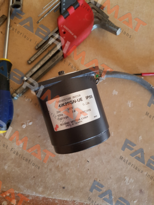 4IK25GN-UE   IP55 Sesame Motor