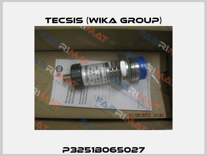 P3251B065027 Tecsis (WIKA Group)
