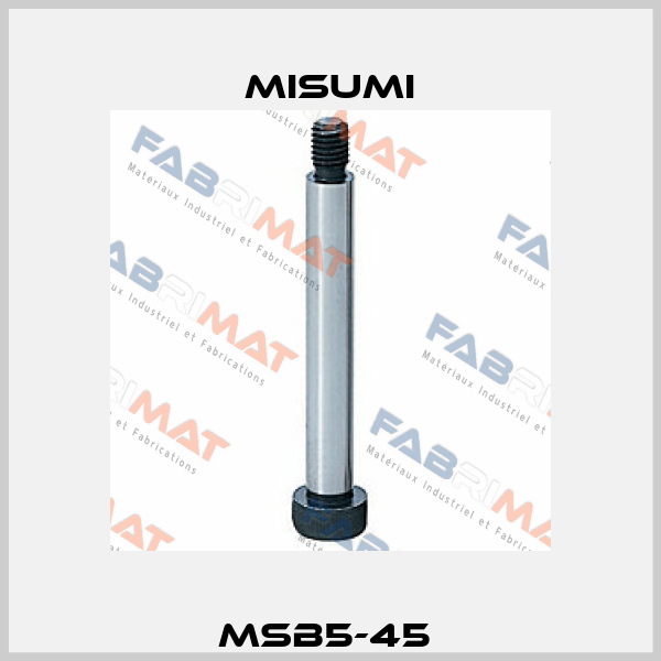 MSB5-45  Misumi