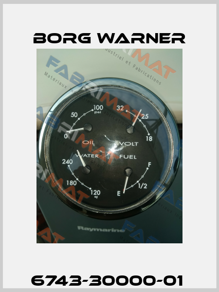 6743-30000-01  Borg Warner