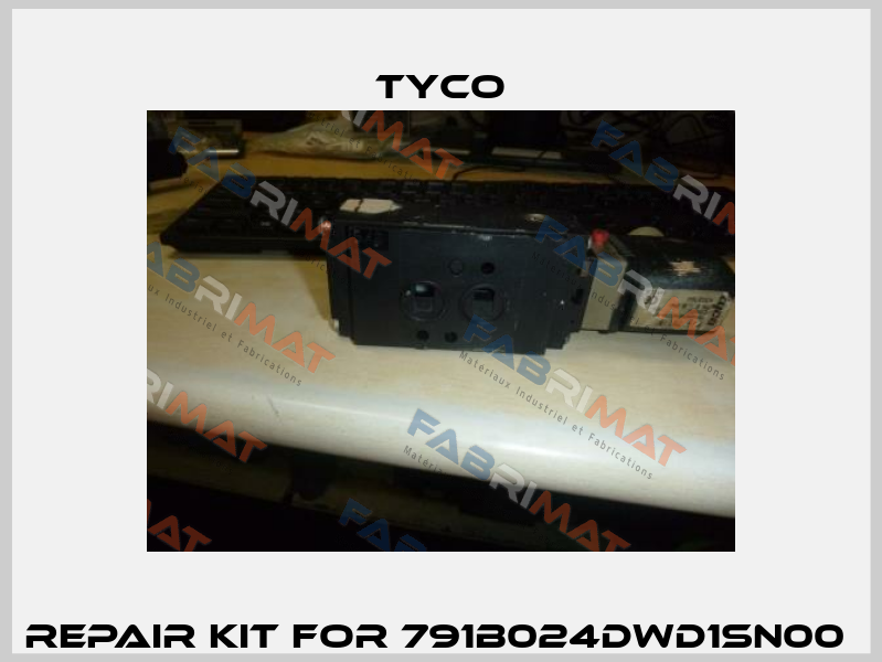 Repair kit for 791B024DWD1SN00  TYCO