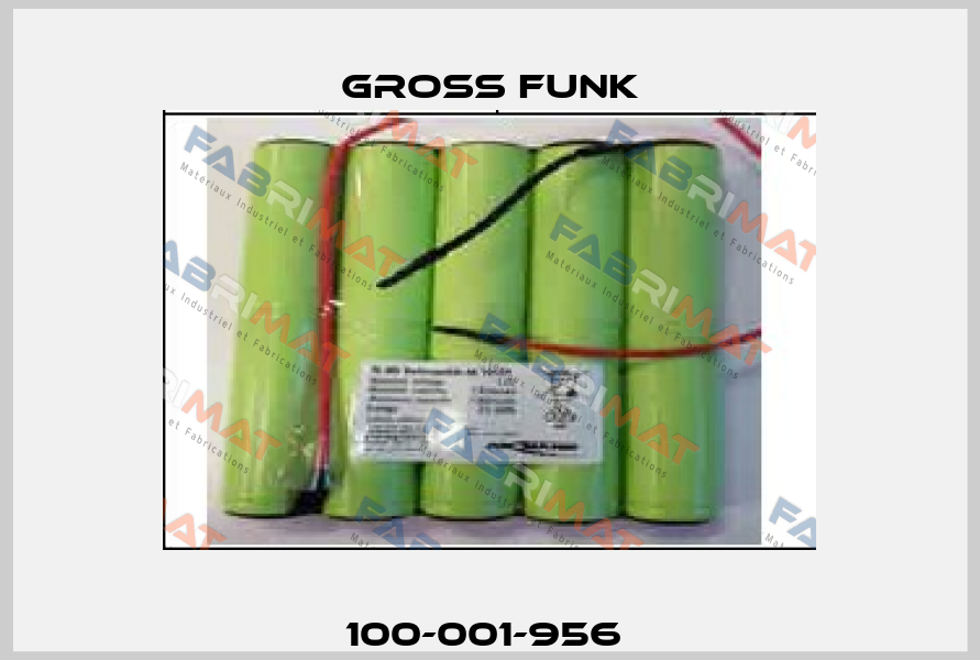 100-001-956  Gross Funk