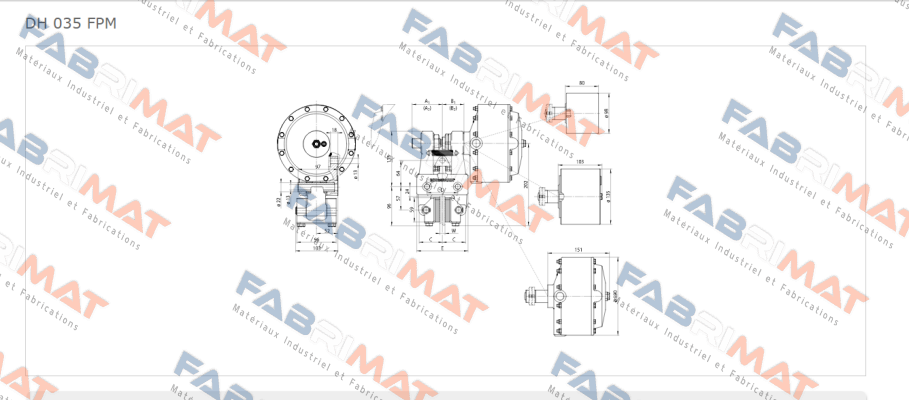 DH 035 FPM-122R-12  Ringspann