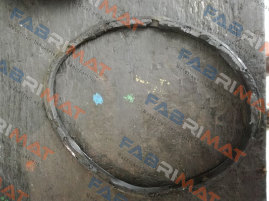 O-ring for Serial n. CF 0010373   Tecofi