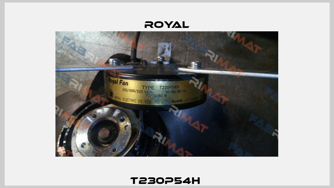 T230P54H  Royal