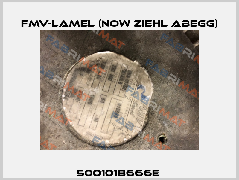 5001018666E  FMV-Lamel (now Ziehl Abegg)