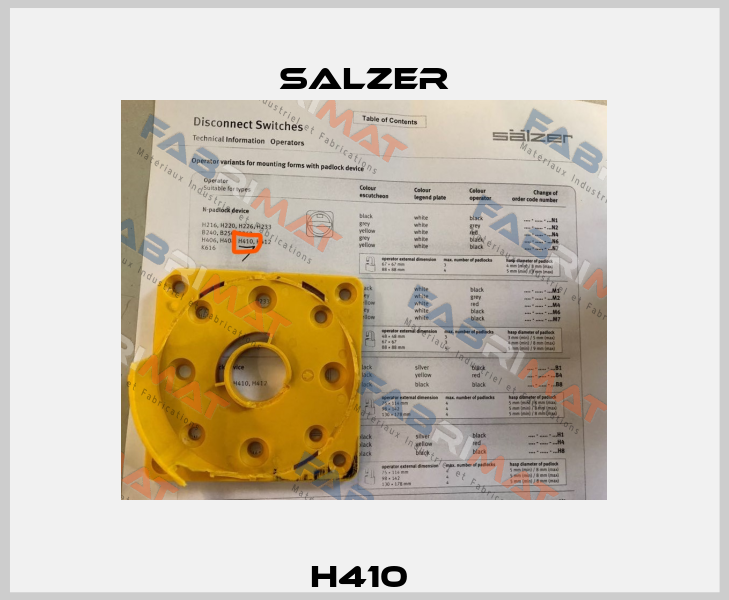 H410  Salzer