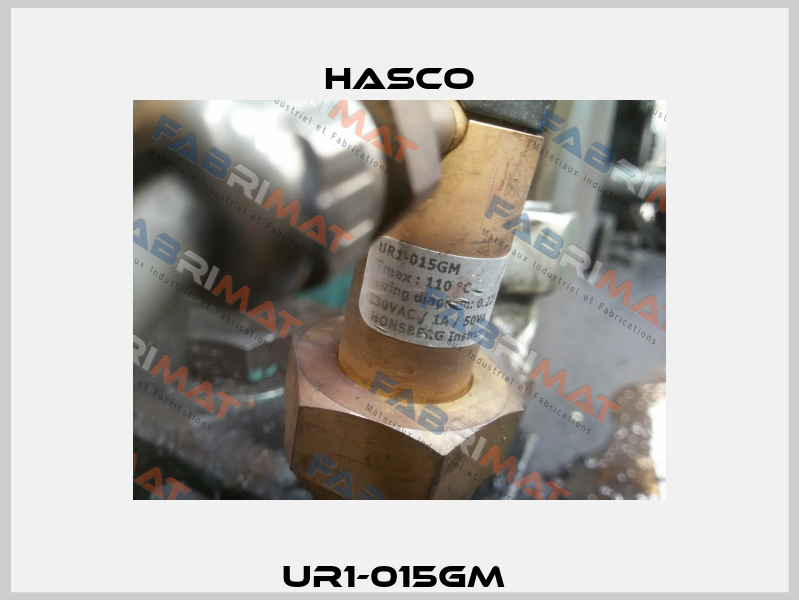 UR1-015GM  Hasco