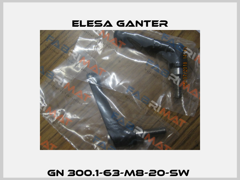 GN 300.1-63-M8-20-SW  Elesa Ganter