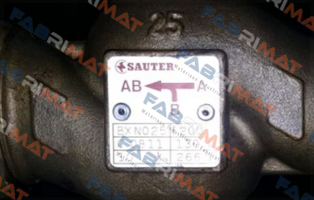 BXN025F200 Sauter