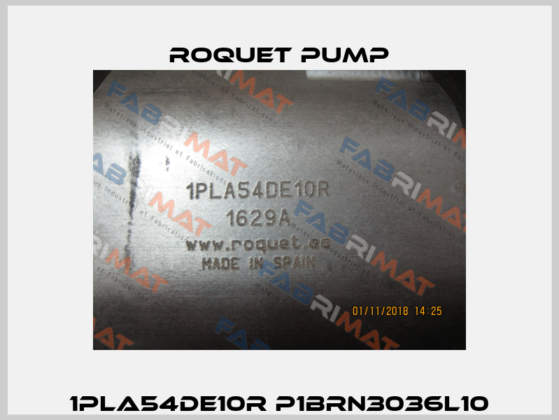 1PLA54DE10R P1BRN3036L10 Roquet pump