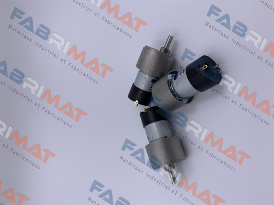 RH158.24.100 Micro Motors