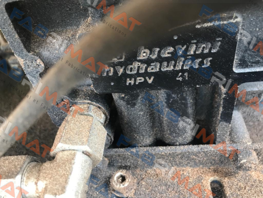 HPV 41 Brevini