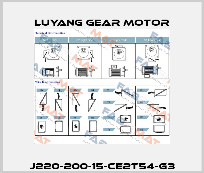 J220-200-15-CE2T54-G3 Luyang Gear Motor