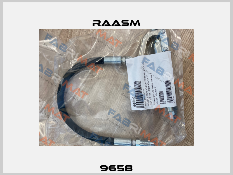 9658 Raasm