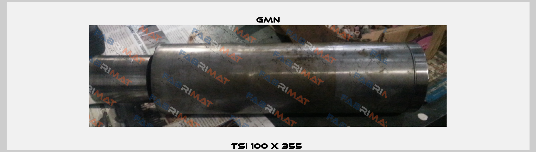 TSI 100 x 355  Gmn