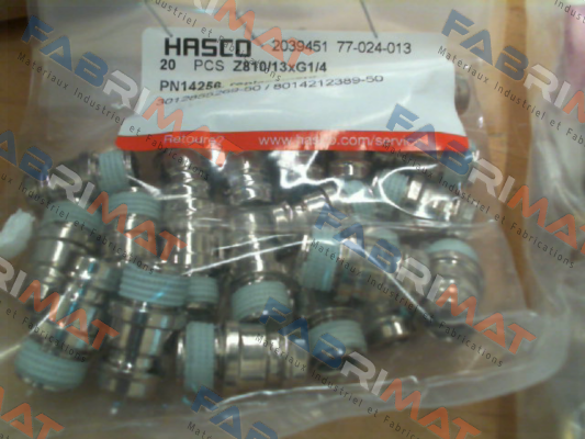 2039451 (Z810/13xG1/4) Hasco