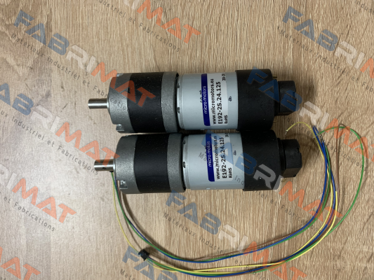 E192-2S.24.125 Micro Motors