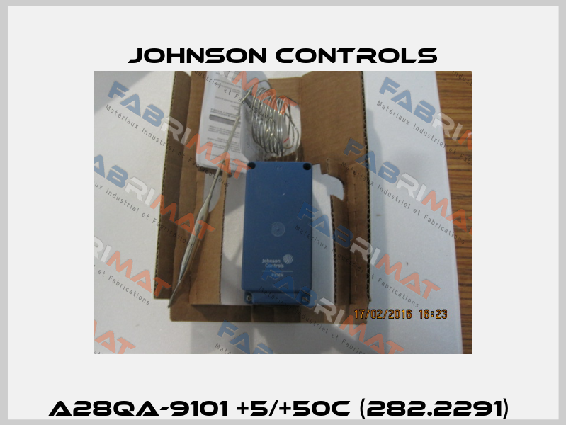 A28QA-9101 +5/+50C (282.2291)  Johnson Controls