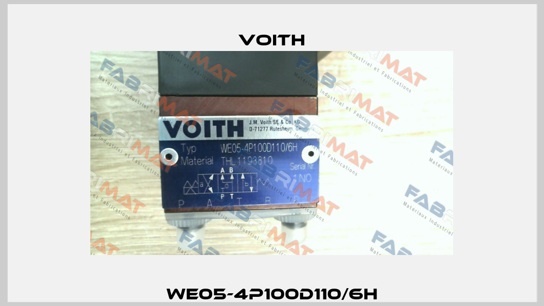 WE05-4P100D110/6H Voith