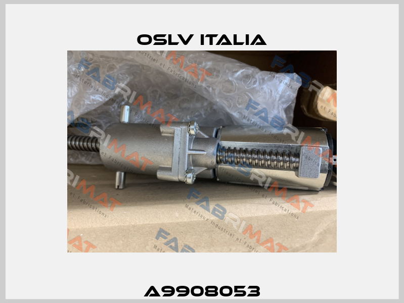 A9908053 OSLV Italia