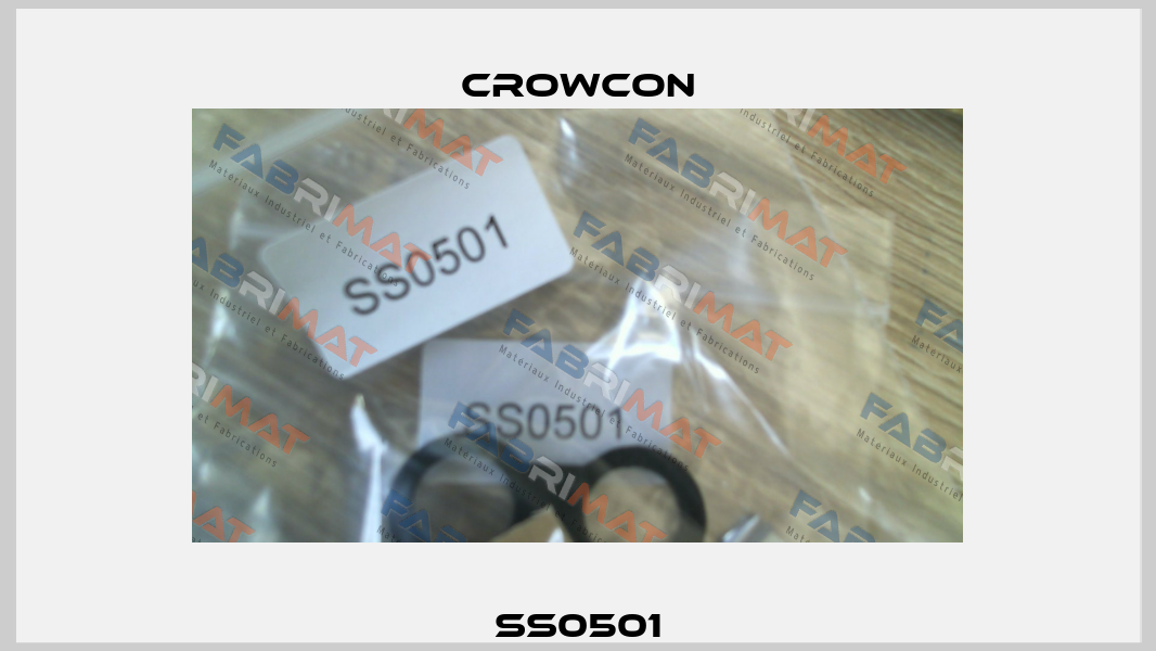 SS0501 Crowcon