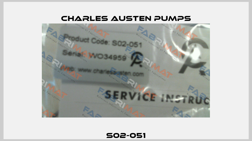 S02-051 Charles Austen Pumps