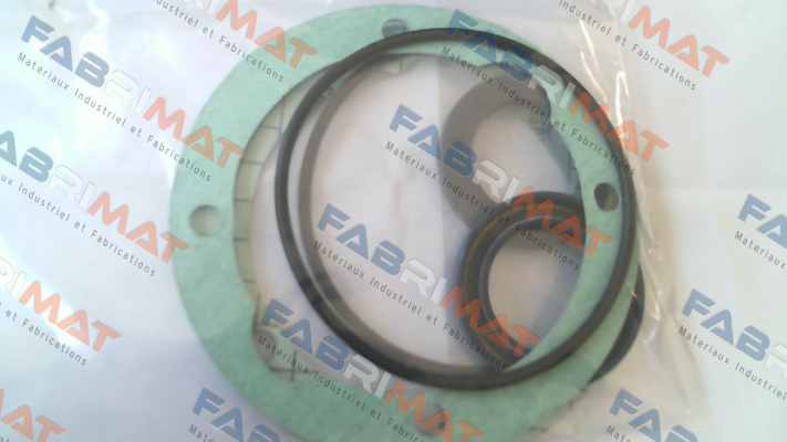 Seal KIT for GR45-SMT16B-180L-RF1 Settima