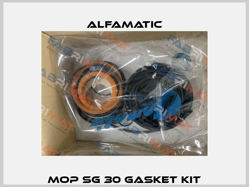 MOP SG 30 GASKET KIT Alfamatic