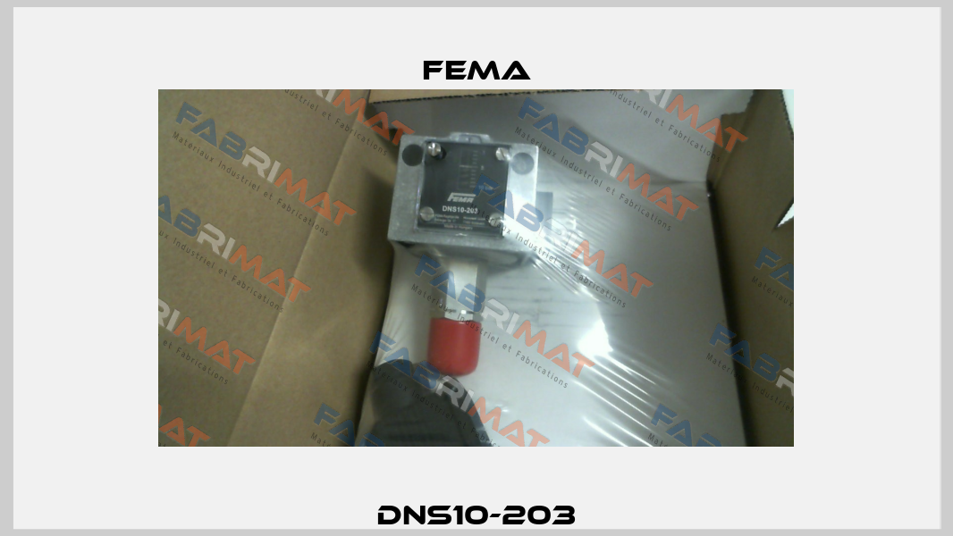 DNS10-203 FEMA