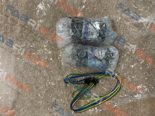 MM.L149-2S.12.21 Micro Motors