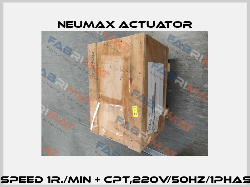 QT19 speed 1r./min + CPT,220V/50Hz/1Phase,1PC Neumax Actuator