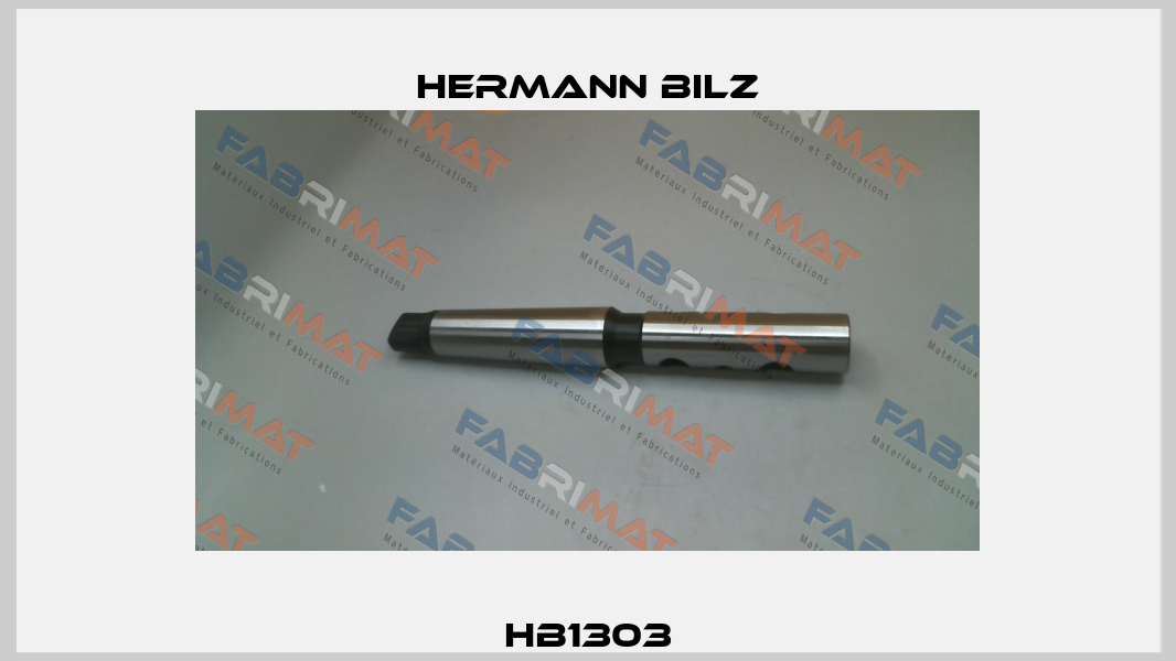 HB1303 Hermann Bilz
