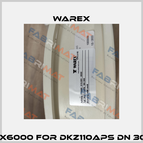 WX6000 for DKZ110APS DN 300 Warex