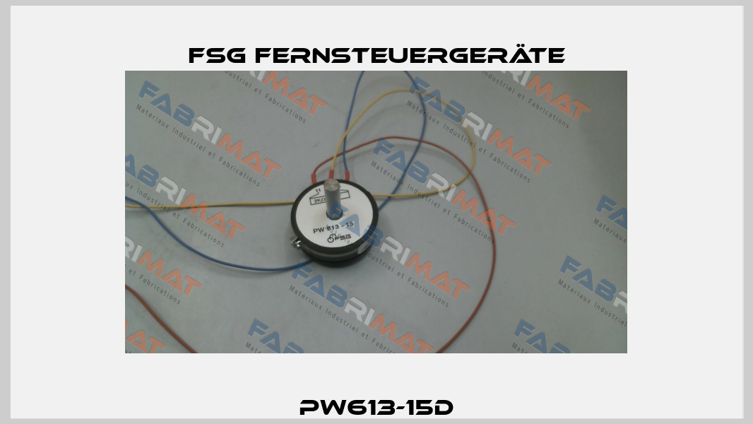 PW613-15d FSG Fernsteuergeräte