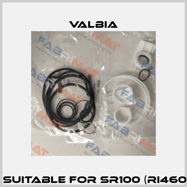 Repair kit suitable for SR100 (RI4607 + RI4649) Valbia