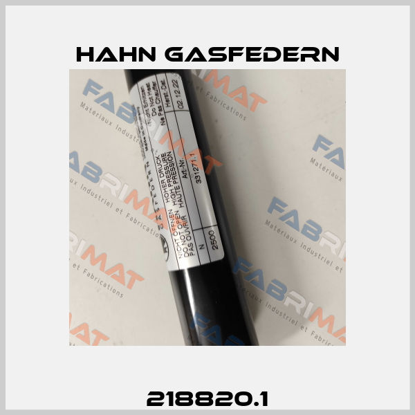 218820.1 Hahn Gasfedern