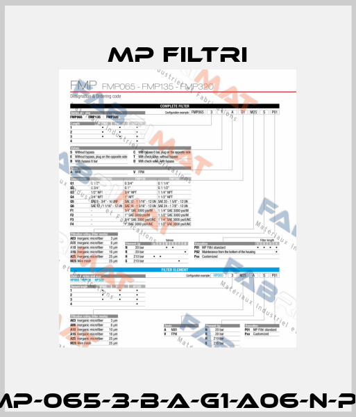 FMP-065-3-B-A-G1-A06-N-P01 MP Filtri